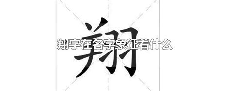 翔 名字